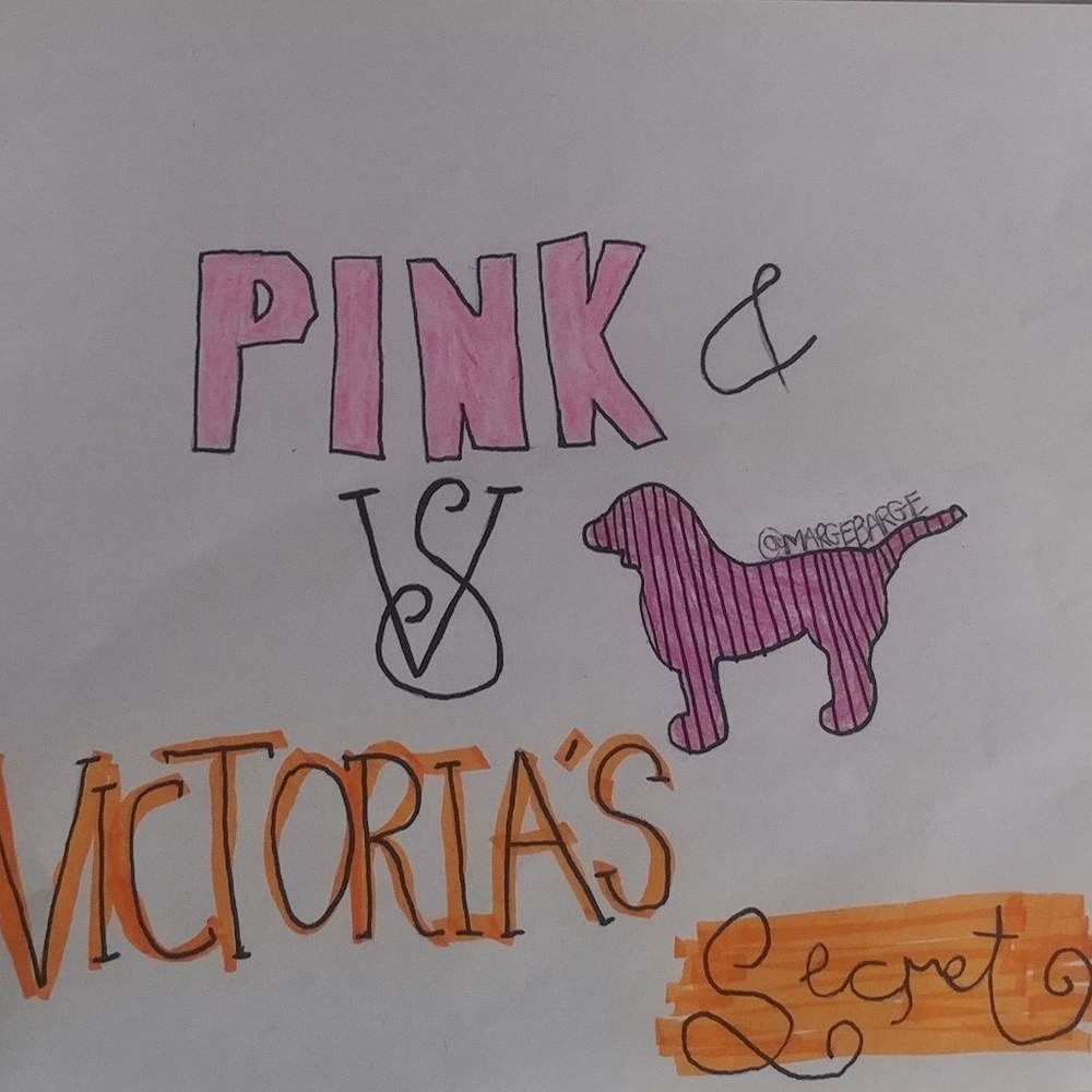 Closet Divider Pink VictoriasSecret Items